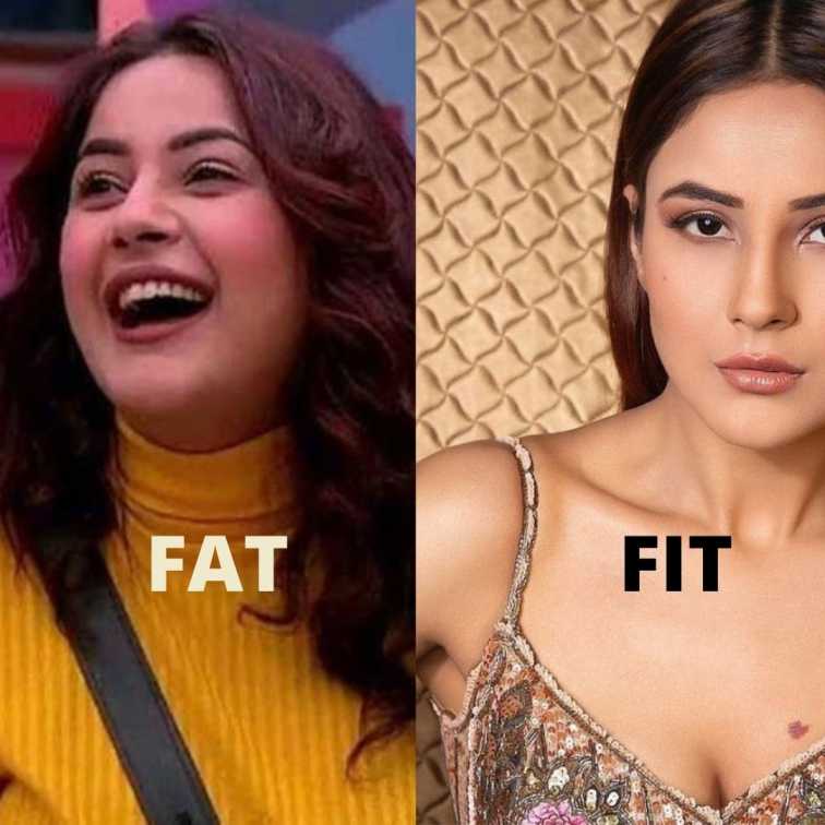 The Shehnaaz Gill weight loss strategy