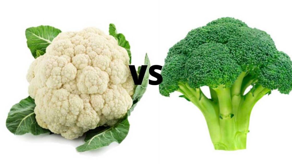 Cauliflower vs Broccoli
