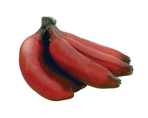 Red Banana health benefits
