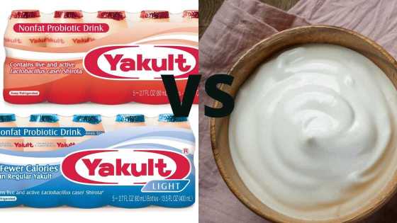 Yakult Regular vs Yakult Light vs Curd? - Is Yakult better than curd as a probiotic?
