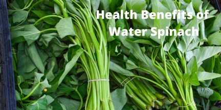 Health Benefits of Water Spinach