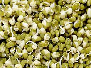 Health Benefits of Eating Moong Sprouts