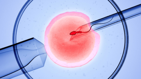 wrong about IVF