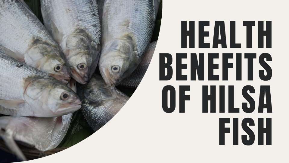 Health Benefits Of Hilsa Fish