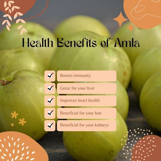 amazing health benefits of amla