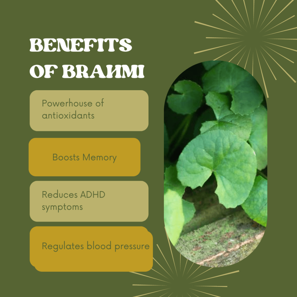 Health Benefits Of Brahmi