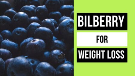 Bilberry For Weight Loss